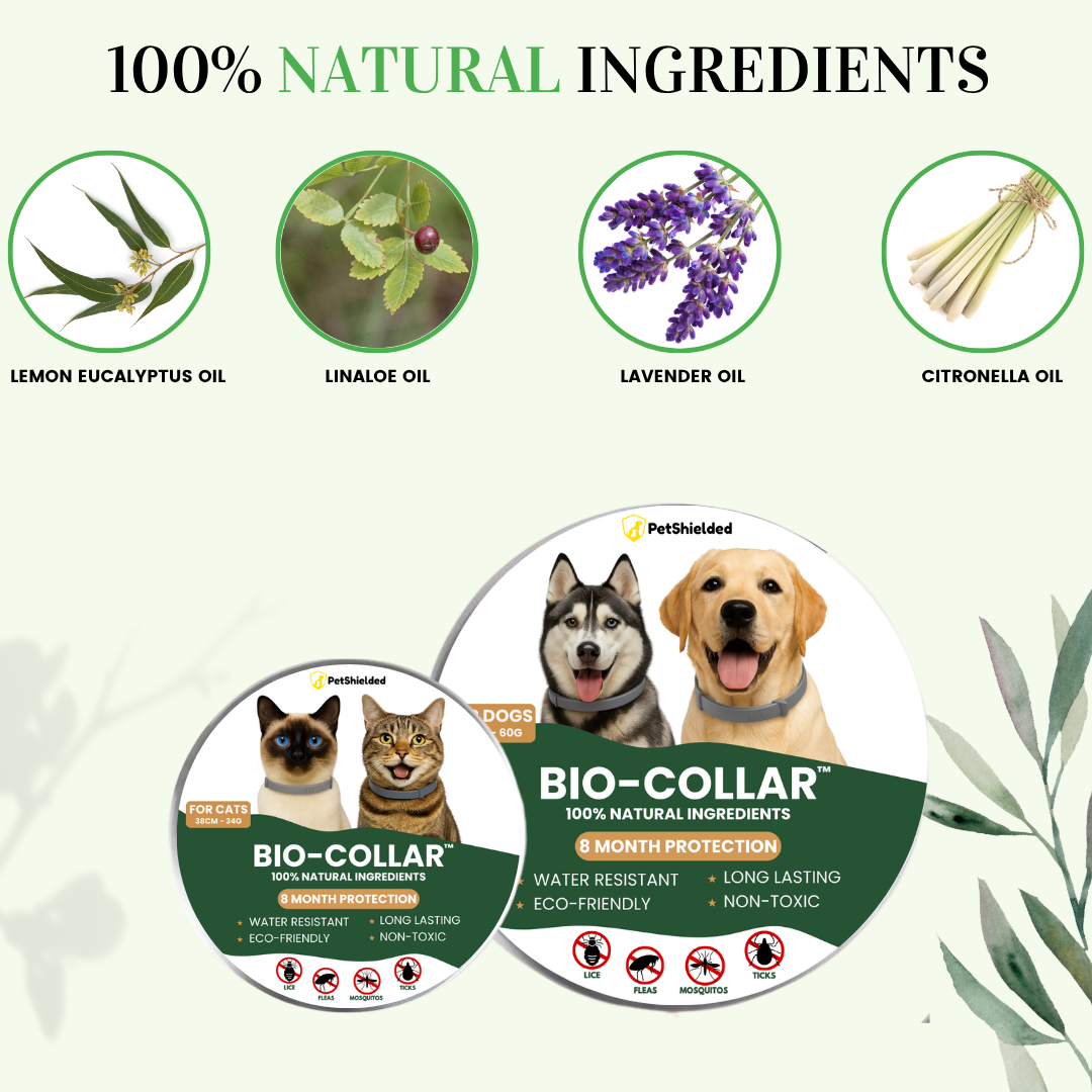 BIO-COLLAR™  8+ Months Protection against Flea & Tick